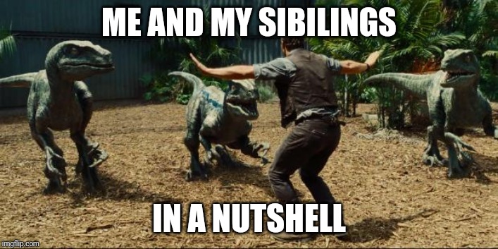 My chaotic family life | ME AND MY SIBILINGS; IN A NUTSHELL | image tagged in jurassic world | made w/ Imgflip meme maker