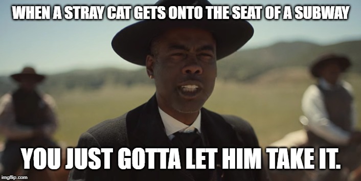 WHEN A STRAY CAT GETS ONTO THE SEAT OF A SUBWAY YOU JUST GOTTA LET HIM TAKE IT. | made w/ Imgflip meme maker