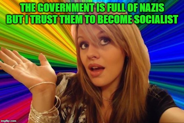 Dumb Blonde Meme | THE GOVERNMENT IS FULL OF NAZIS BUT I TRUST THEM TO BECOME SOCIALIST | image tagged in memes,dumb blonde | made w/ Imgflip meme maker