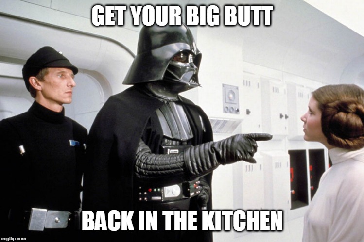 NOW | GET YOUR BIG BUTT; BACK IN THE KITCHEN | image tagged in memes,darth vader,princess leia,starwars | made w/ Imgflip meme maker
