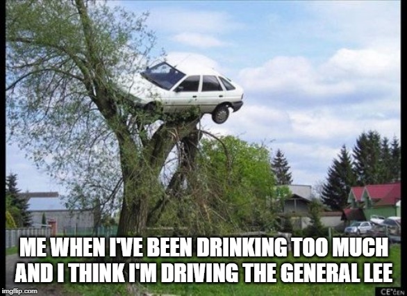 Secure Parking | ME WHEN I'VE BEEN DRINKING TOO MUCH AND I THINK I'M DRIVING THE GENERAL LEE | image tagged in memes,secure parking | made w/ Imgflip meme maker