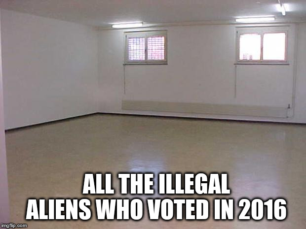 Empty Room | ALL THE ILLEGAL ALIENS WHO VOTED IN 2016 | image tagged in empty room | made w/ Imgflip meme maker