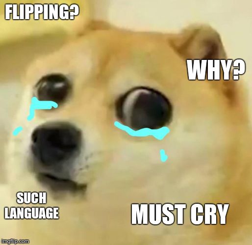 big eyes crying doge | FLIPPING? SUCH LANGUAGE WHY? MUST CRY | image tagged in big eyes crying doge | made w/ Imgflip meme maker