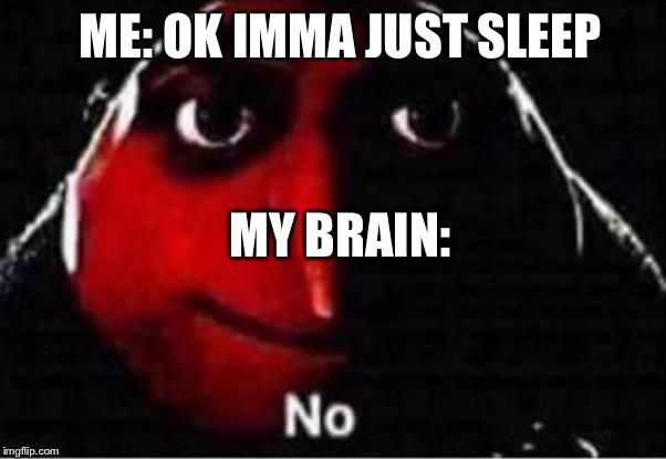 Gru No | ME: OK IMMA JUST SLEEP; MY BRAIN: | image tagged in gru no | made w/ Imgflip meme maker