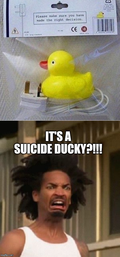 For when times get tough. | IT'S A SUICIDE DUCKY?!!! | image tagged in that moment you realized,funny,funny memes | made w/ Imgflip meme maker