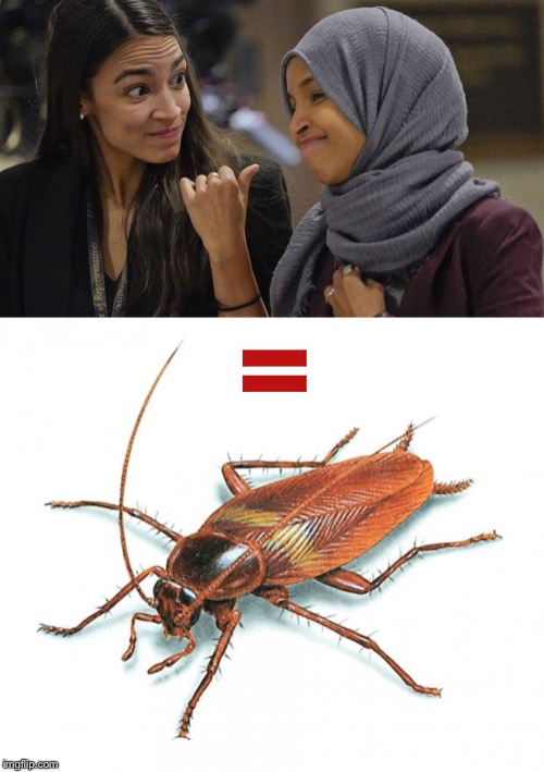 = | image tagged in cockroach,alexandria ocasio cortez | made w/ Imgflip meme maker