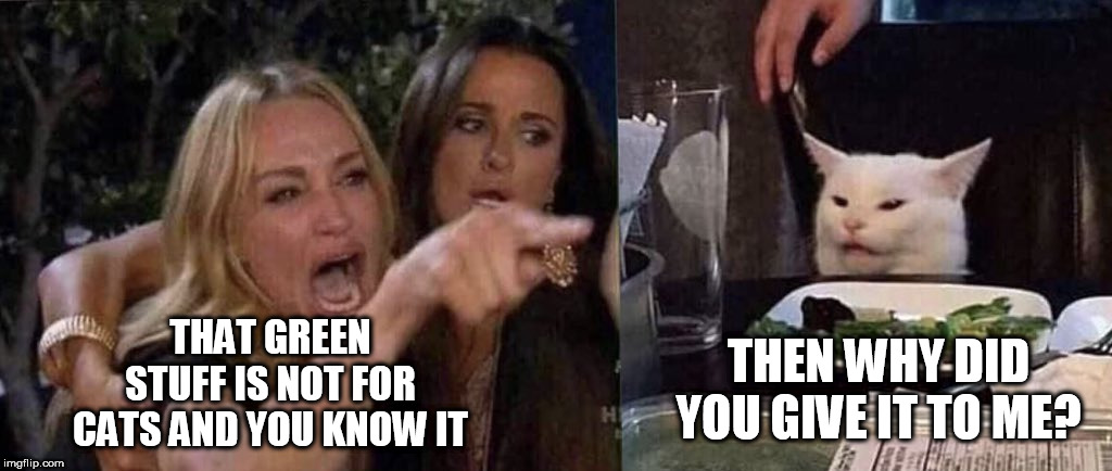 woman yelling at cat | THAT GREEN STUFF IS NOT FOR CATS AND YOU KNOW IT; THEN WHY DID YOU GIVE IT TO ME? | image tagged in woman yelling at cat,cats | made w/ Imgflip meme maker