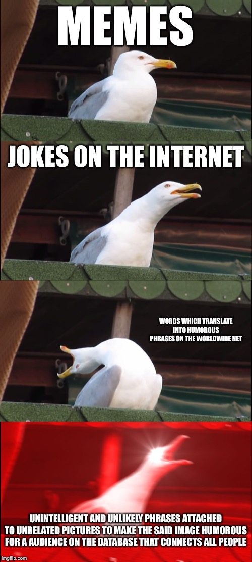 Advanced Memes Seagull | MEMES; JOKES ON THE INTERNET; WORDS WHICH TRANSLATE INTO HUMOROUS PHRASES ON THE WORLDWIDE NET; UNINTELLIGENT AND UNLIKELY PHRASES ATTACHED TO UNRELATED PICTURES TO MAKE THE SAID IMAGE HUMOROUS FOR A AUDIENCE ON THE DATABASE THAT CONNECTS ALL PEOPLE | image tagged in memes,inhaling seagull | made w/ Imgflip meme maker