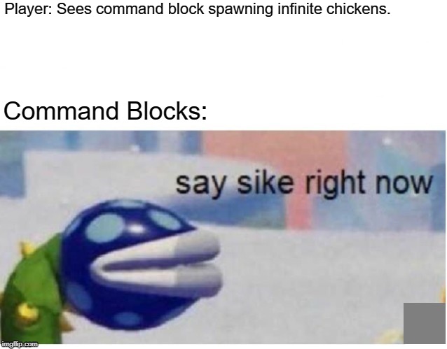 say sike right now | Player: Sees command block spawning infinite chickens. Command Blocks: | image tagged in say sike right now | made w/ Imgflip meme maker