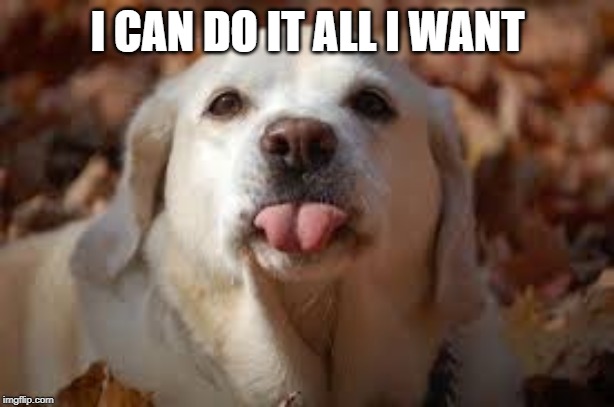Dog Sticking Tongue Out | I CAN DO IT ALL I WANT | image tagged in dog sticking tongue out | made w/ Imgflip meme maker