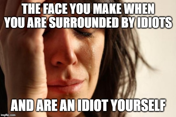 First World Problems Meme | THE FACE YOU MAKE WHEN YOU ARE SURROUNDED BY IDIOTS AND ARE AN IDIOT YOURSELF | image tagged in memes,first world problems | made w/ Imgflip meme maker