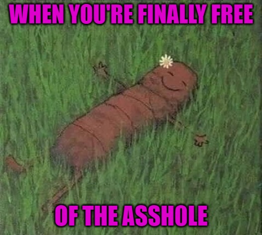 Breaking up is always good for someone... | WHEN YOU'RE FINALLY FREE; OF THE ASSH0LE | image tagged in finally free,memes,happy turd,funny,relationships,breaking up | made w/ Imgflip meme maker