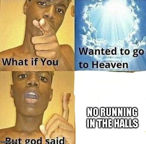 What if you wanted to go to Heaven | NO RUNNING IN THE HALLS | image tagged in what if you wanted to go to heaven | made w/ Imgflip meme maker