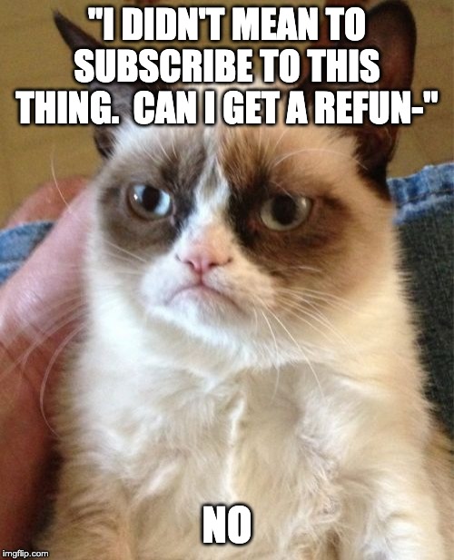 Grumpy Cat Meme | "I DIDN'T MEAN TO SUBSCRIBE TO THIS THING.  CAN I GET A REFUN-"; NO | image tagged in memes,grumpy cat,refund,itunes | made w/ Imgflip meme maker
