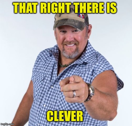 Larry the Cable Guy | THAT RIGHT THERE IS CLEVER | image tagged in larry the cable guy | made w/ Imgflip meme maker