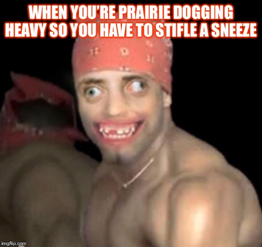 WHEN YOU’RE PRAIRIE DOGGING HEAVY SO YOU HAVE TO STIFLE A SNEEZE | image tagged in fun,retard,prairie,dog,lol | made w/ Imgflip meme maker