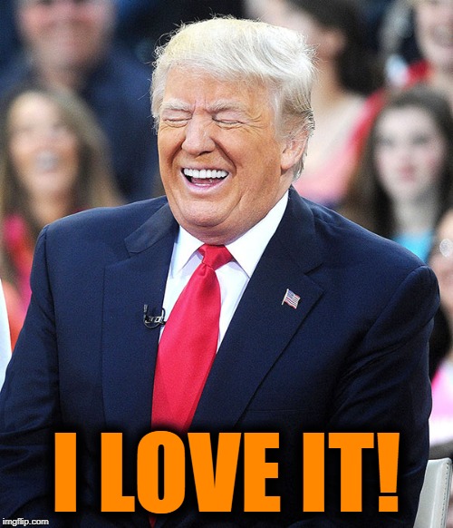 trump laughing | I LOVE IT! | image tagged in trump laughing | made w/ Imgflip meme maker