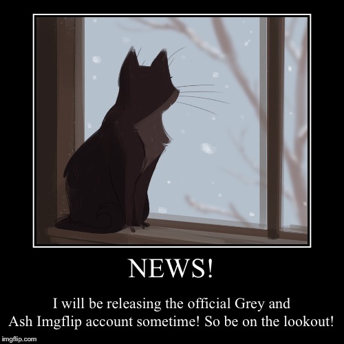 Grey and Ash Account: Future Release | image tagged in funny,demotivationals,grey and ash,future release,news | made w/ Imgflip demotivational maker