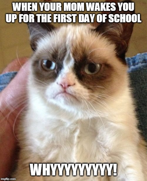 Grumpy Cat Meme | WHEN YOUR MOM WAKES YOU UP FOR THE FIRST DAY OF SCHOOL; WHYYYYYYYYY! | image tagged in memes,grumpy cat | made w/ Imgflip meme maker