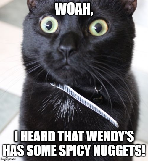 Woah Kitty Meme | WOAH, I HEARD THAT WENDY'S HAS SOME SPICY NUGGETS! | image tagged in memes,woah kitty | made w/ Imgflip meme maker