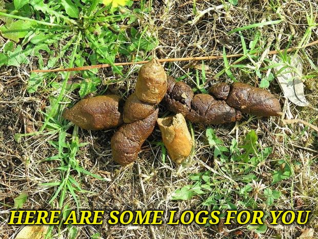 dog turd | HERE ARE SOME LOGS FOR YOU | image tagged in dog turd | made w/ Imgflip meme maker