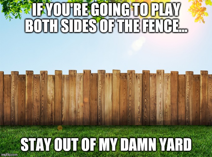 Fence aka Border Wall | IF YOU'RE GOING TO PLAY BOTH SIDES OF THE FENCE... STAY OUT OF MY DAMN YARD | image tagged in fence aka border wall | made w/ Imgflip meme maker