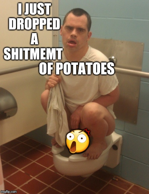 Flush it down syndrome | I JUST DROPPED A SHITMEMT OF POTATOES | image tagged in flush it down syndrome | made w/ Imgflip meme maker