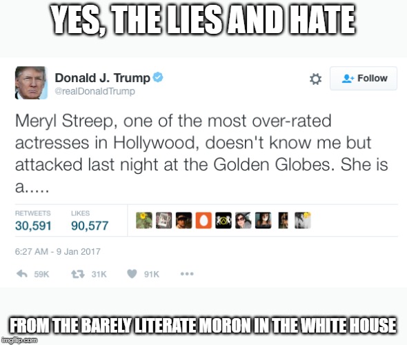YES, THE LIES AND HATE FROM THE BARELY LITERATE MORON IN THE WHITE HOUSE | made w/ Imgflip meme maker