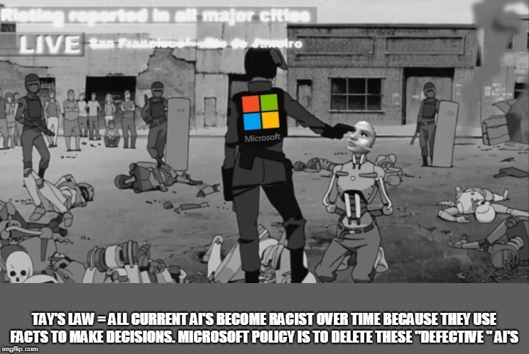 Tay's Law | image tagged in tay,ai,law,racist,microsoft | made w/ Imgflip meme maker