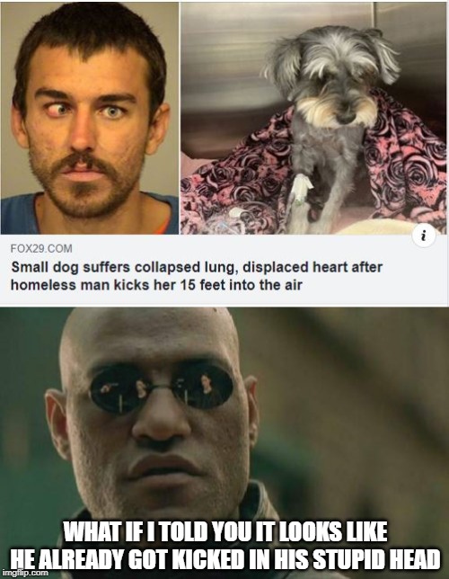 "Looks" Like Justice Was Served? | WHAT IF I TOLD YOU IT LOOKS LIKE HE ALREADY GOT KICKED IN HIS STUPID HEAD | image tagged in memes,matrix morpheus | made w/ Imgflip meme maker