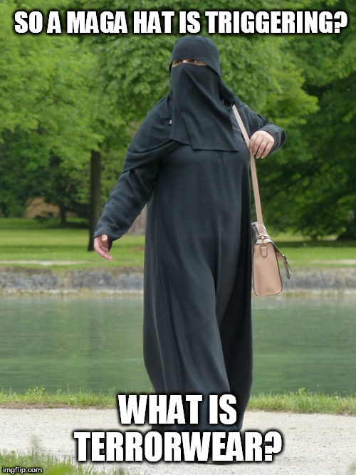Burka | SO A MAGA HAT IS TRIGGERING? WHAT IS TERRORWEAR? | image tagged in burka | made w/ Imgflip meme maker