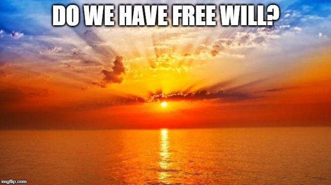 sunrise | DO WE HAVE FREE WILL? | image tagged in sunrise | made w/ Imgflip meme maker