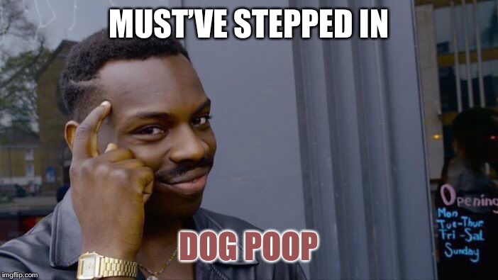 Roll Safe Think About It Meme | MUST’VE STEPPED IN DOG POOP | image tagged in memes,roll safe think about it | made w/ Imgflip meme maker