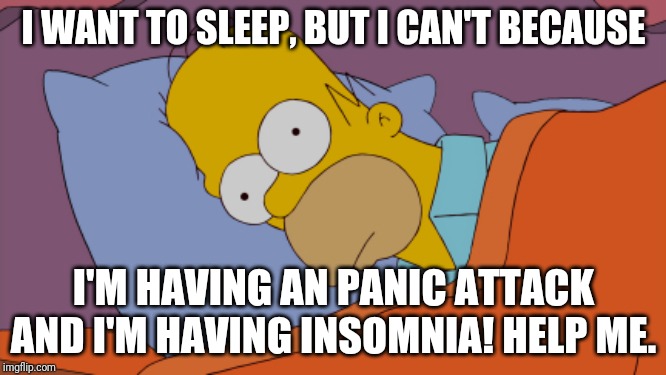 Bedtime troubles | I WANT TO SLEEP, BUT I CAN'T BECAUSE; I'M HAVING AN PANIC ATTACK AND I'M HAVING INSOMNIA! HELP ME. | image tagged in homer can't sleep | made w/ Imgflip meme maker