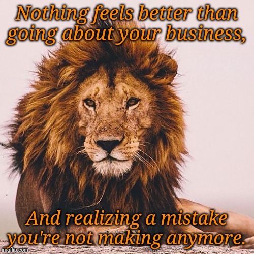 Lion Inspirational  | Nothing feels better than going about your business, And realizing a mistake you're not making anymore. | image tagged in lion inspirational | made w/ Imgflip meme maker