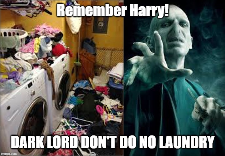 He say's no to... | Remember Harry! DARK LORD DON'T DO NO LAUNDRY | image tagged in harry potter | made w/ Imgflip meme maker