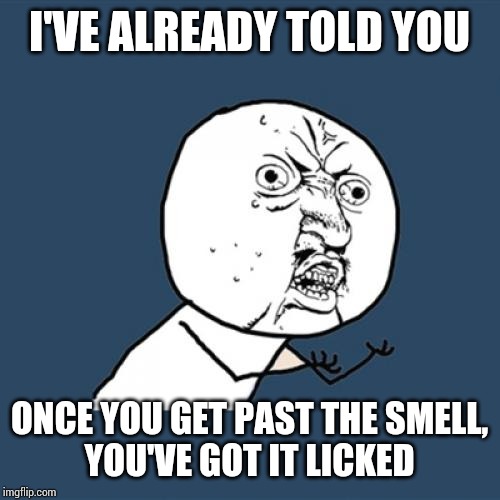 Y U No Meme | I'VE ALREADY TOLD YOU; ONCE YOU GET PAST THE SMELL,
YOU'VE GOT IT LICKED | image tagged in memes,y u no | made w/ Imgflip meme maker