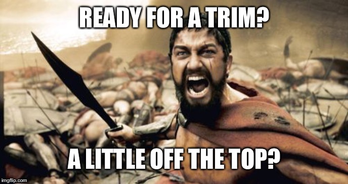 Leonidas the Barber | READY FOR A TRIM? A LITTLE OFF THE TOP? | image tagged in memes,sparta leonidas | made w/ Imgflip meme maker