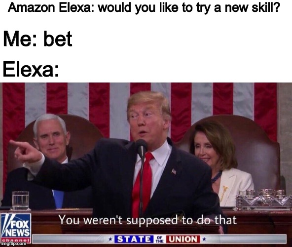 I think these are one of those things that are funnier in your head. | Amazon Elexa: would you like to try a new skill? Me: bet; Elexa: | image tagged in you werent supposed to do that,donald trump,umm,i dont know what to tag,ahhhhhh,spam spam | made w/ Imgflip meme maker