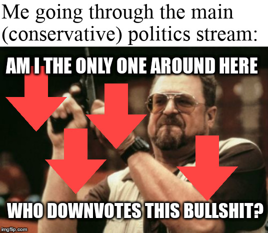Downvote Warrior! (not that downvotes even do anything lmao) | Me going through the main (conservative) politics stream:; AM I THE ONLY ONE AROUND HERE; WHO DOWNVOTES THIS BULLSHIT? | image tagged in memes,am i the only one around here,downvote,liberal vs conservative,politics,social justice warrior | made w/ Imgflip meme maker