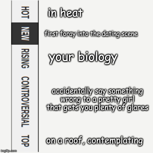 Trying to talk to a girl is scary!! | in heat; first foray into the dating scene; your biology; accidentally say something wrong to a pretty girl that gets you plenty of glares; on a roof, contemplating | image tagged in memes,life | made w/ Imgflip meme maker