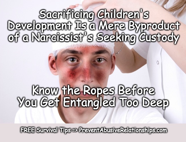 Domestic Abuse Custody | Sacrificing Children's Development Is a Mere Byproduct of a Narcissist's Seeking Custody; Know the Ropes Before You Get Entangled Too Deep; FREE Survival Tips => PreventAbusiveRelationships.com | image tagged in divorce,custody,domestic abuse,domestic violence | made w/ Imgflip meme maker