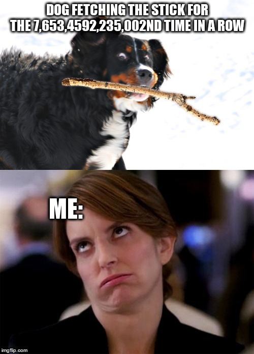 We call him 'Fetch'... | DOG FETCHING THE STICK FOR THE 7,653,4592,235,002ND TIME IN A ROW; ME: | image tagged in memes,crazy dawg,eye roll,dumb dog,fetch,obsessed | made w/ Imgflip meme maker