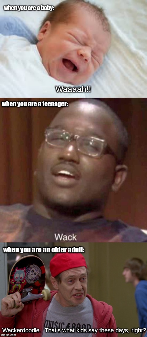 when you are a baby:; Waaaah!! when you are a teenager:; when you are an older adult:; Wackerdoodle.  That's what kids say these days, right? | image tagged in memes,life | made w/ Imgflip meme maker