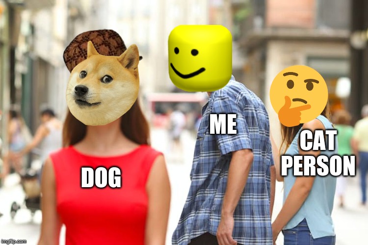 Distracted Boyfriend Meme | ME; CAT PERSON; DOG | image tagged in memes,distracted boyfriend,cats | made w/ Imgflip meme maker