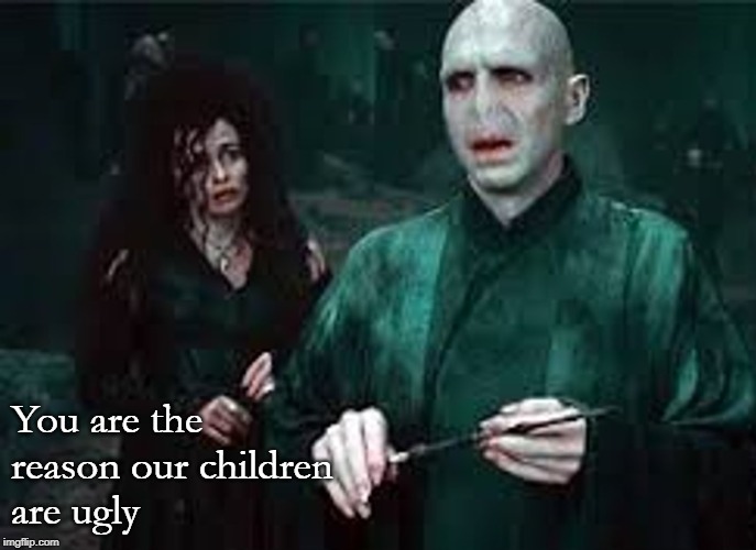 You are the reason our children are ugly | You are the
reason our children
are ugly | image tagged in harry potter | made w/ Imgflip meme maker