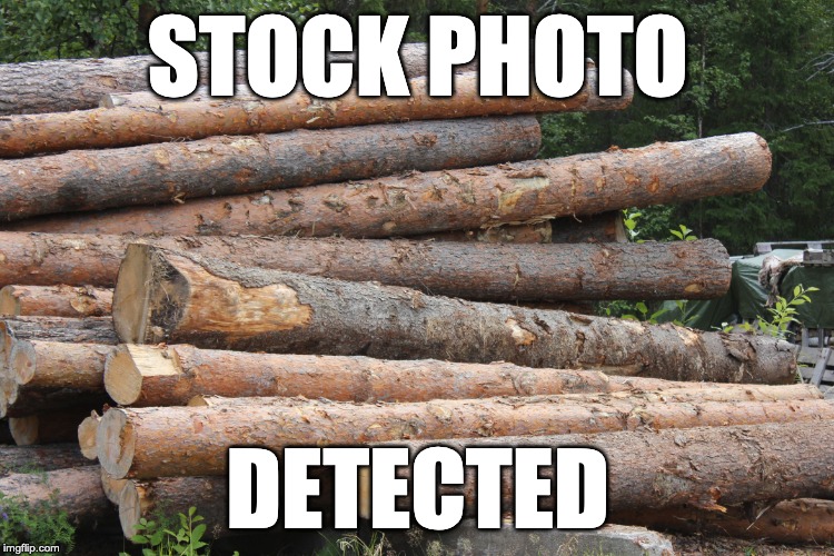 Stock photo | STOCK PHOTO; DETECTED | image tagged in stock photo | made w/ Imgflip meme maker