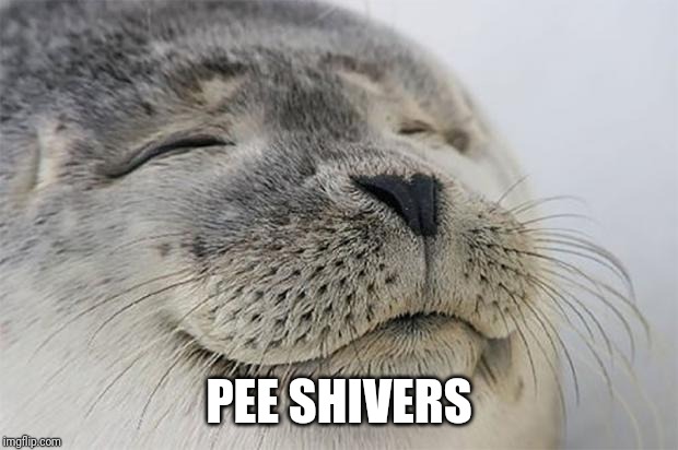 Satisfied Seal | PEE SHIVERS | image tagged in memes,satisfied seal | made w/ Imgflip meme maker