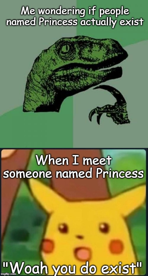 Me wondering if people named Princess actually exist; When I meet someone named Princess; "Woah you do exist" | image tagged in memes,philosoraptor,surprised pikachu | made w/ Imgflip meme maker