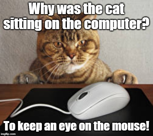 To Keep An Eye On The Mouse Imgflip
